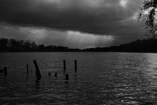 Rays in black and white